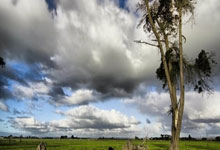 天涯社区港台版：港台网友的网络聚集地